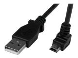 Описание и цена на StarTech Down Angle Mini USB-B to USB-A Cable 2m, USBAMB2MD