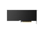 PNY NVIDIA RTX 5000 Ada Generation снимка №3 PNY NVIDIA RTX 5000 Ada Generation снимка №3
