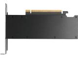 PNY Quadro RTX PRO 2000 Blackwell 16GB GDDR7 4xmDP снимка №2