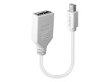 Описание и цена на Lindy Mini-DP to DisplayPort Adapter cable 0.2m