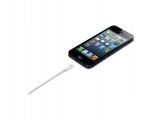 Apple Lightning to USB Cable MD819ZM/A снимка №2