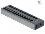 Описание и цена на USB Hub DeLock External SuperSpeed USB Hub with 13 Ports + Switch