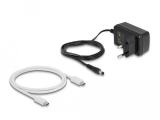 DeLock Станция USB-C, За 2 x M.2 NVMe PCIe SSD, Клониране аксесоари докинг станция снимка №6