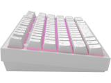 DARK PROJECT ALU81A Terra Nostra White RGB USB мултимедийна  снимка №4