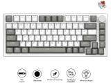 Ajazz Gaming Mechanical Keyboard AK820 AS Red Switch Gray White USB мултимедийна  снимка №2