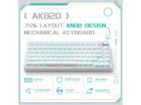 Ajazz Gaming Mechanical Keyboard AK820 Blue Switches White Blue Light USB мултимедийна снимка №2 Ajazz Gaming Mechanical Keyboard AK820 Blue Switches White Blue Light USB мултимедийна снимка №2
