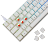 White Shark White Shark геймърска механична клавиатура Gaming Mechanical Keyboard SHINOBI 2 - YUSYA 5P Red Switches (English US), White SHINOBI-2-W-US-RED.SW NEW снимка №4 White Shark White Shark геймърска механична клавиатура Gaming Mechanical Keyboard SHINOBI 2 - YUSYA 5P Red Switches (English US), White SHINOBI-2-W-US-RED.SW NEW снимка №4