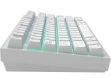 DARK PROJECT ALU81A Terra Nova R2 White RGB USB безжична мултимедийна снимка №4 DARK PROJECT ALU81A Terra Nova R2 White RGB USB безжична мултимедийна снимка №4