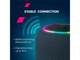 Canyon BSP-8 Bluetooth Speaker CNE-CBTSP8B снимка №5