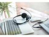 Digitus On-Ear Office Headset DA-12202 снимка №6