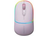Описание и цена на мишка за компютър Canyon MW-22 Dual Band RGB Wireless Pearl Rose (CNS-CMSW22PR) 