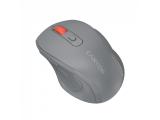 Описание и цена на мишка за компютър Canyon wireless mouse CNE-CMSW20DG