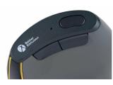 Bakker & Elkhuizen FastForward 3-Mode Vertical Mouse (BNEFF3MVM) retail USB / Bluetooth оптична снимка №5