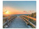 Описание и цена на мишка за компютър Speedlink SILK mousepad has a silky-soft textile Strand Beach retail