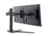 Монитор Iiyama DS1002D-B1 Dual