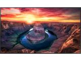 Описание и цена на монитор, дисплей Samsung QM75B QMB Series