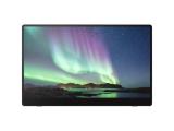 Описание и цена на монитор, дисплей RICOH 150 OLED