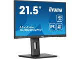 Описание и цена на монитор, дисплей Iiyama ProLite XUB2293HS-B6 