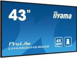 Описание и цена на монитор, дисплей Iiyama ProLite LH4360UHS-B2AG