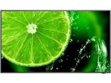 Описание и цена на монитор, дисплей Sharp NEC MultiSync E558