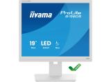 Iiyama ProLite B1980S-W1 снимка №2