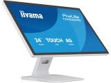 Описание и цена на монитор, дисплей IIYAMA ProLite T2452MSC-W2AG