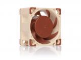 Описание и цена на вентилатори &raquo; вентилатори Noctua Fan 40x40x20mm NF-A4x20-PWM