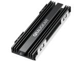 Описание и цена на охладители за твърди дискове » m.2 ssd cooling GrauGear SSD M.2 NVMe Heatsink Kit for PlayStation 5 Memory Extension retail