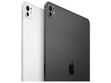 Apple iPad Pro 11 Wi-Fi 256GB Black (5.Gen.) снимка №3