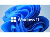 Описание и цена на 11 операционни системи Microsoft Windows 11 Pro GGK