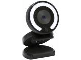 Описание и цена на уеб камера Foscam W28 Black FHD