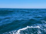 Море - In the sea. Красиви снимки за Вашият работен плот. Desktop wallpapers - картинки и снимки за работния плот на вашия компютър. Уникални, авторски и неповторими - места и моменти. Снимка № 133