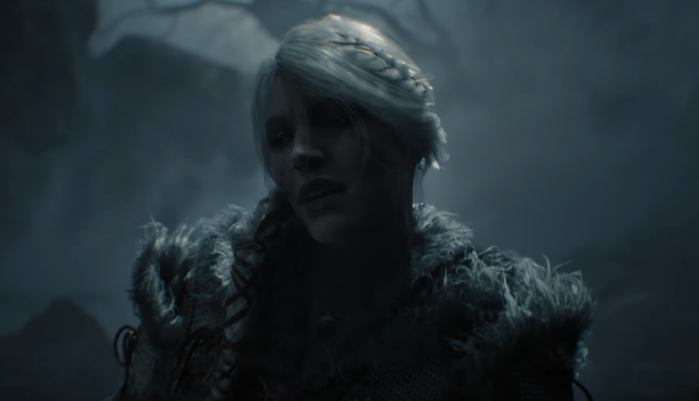 the_witcher_4.png