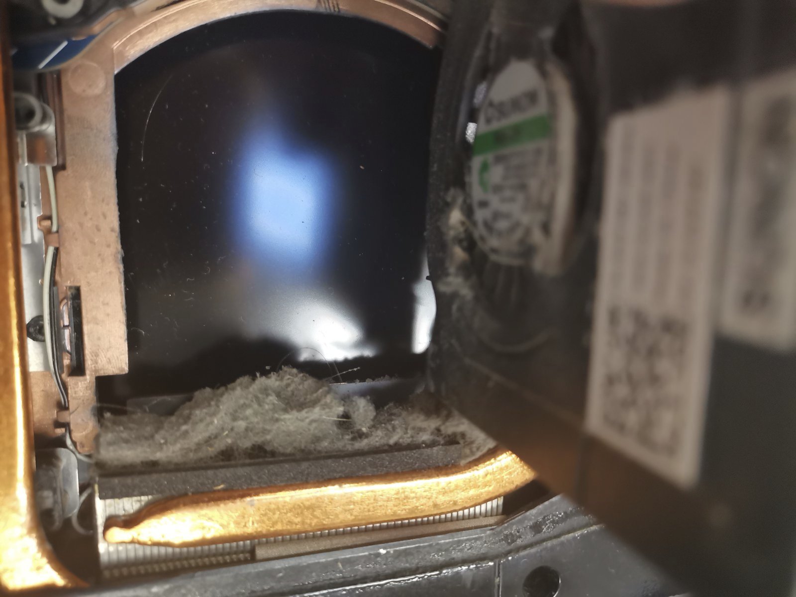 notebook-hardware-cleaning-HP-3.jpg